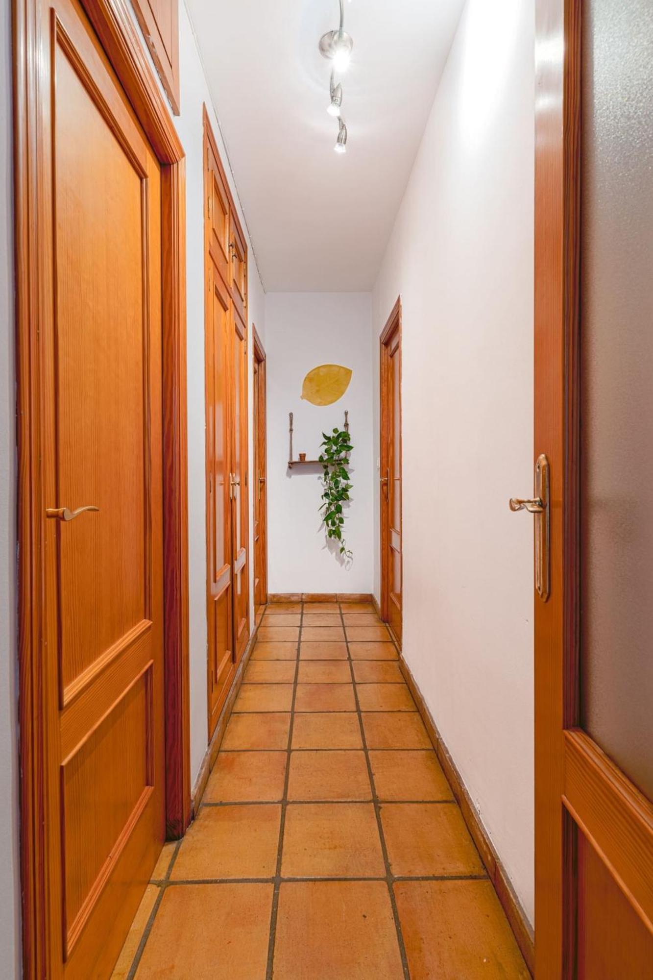 Musico Turia Gardens Apartment บาเลนเซีย ภายนอก รูปภาพ